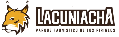 Lacuniacha